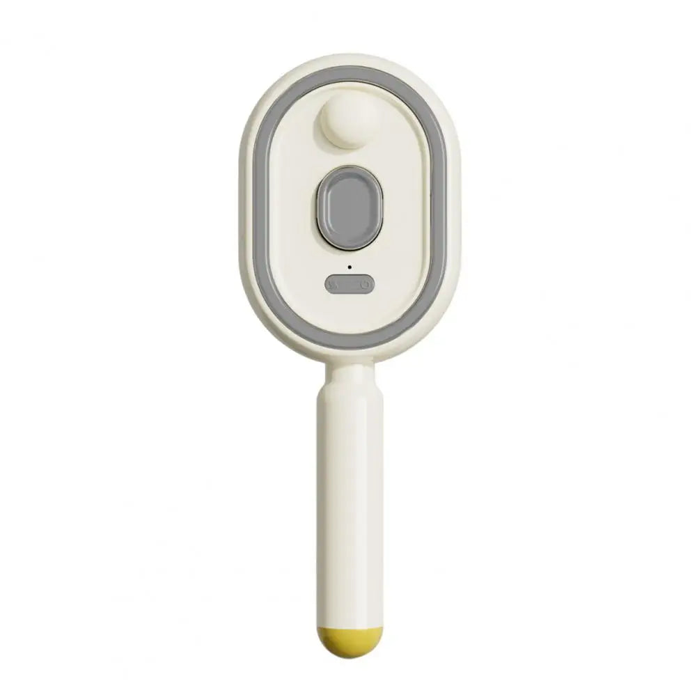 Brosse à Vapeur 2-en-1 Anti-Frisottis